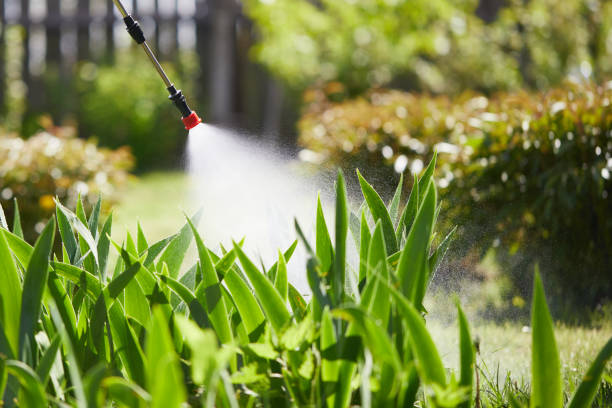 24/7 Emergency Wasp Removal experts in Lyford, TX